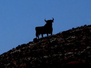 Toro del Peñón de Almayate