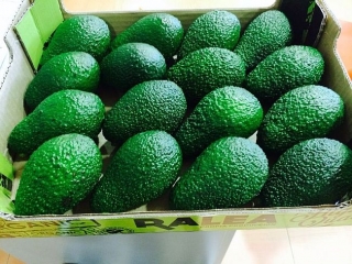 Axarfruit