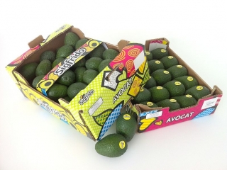 Aguacates